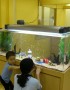 横浜市　幼稚園様