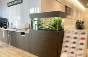 京都トヨペット株式会社・宇治店様に設置！120cm淡水魚水槽レンタル事例