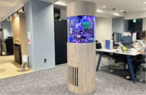 京都市　企業様に直径60cmの円柱水槽を販売・設置！メンテナンスで美しい水景をキープします