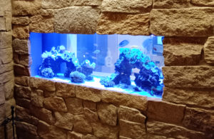 京都市　個人宅様の埋め込み水槽をメンテナンス！120cmサンゴ水槽・定期メンテナンス事例